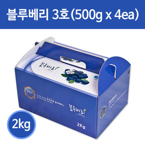 블루베리 상자(500g*4ea) 3호 50개세트